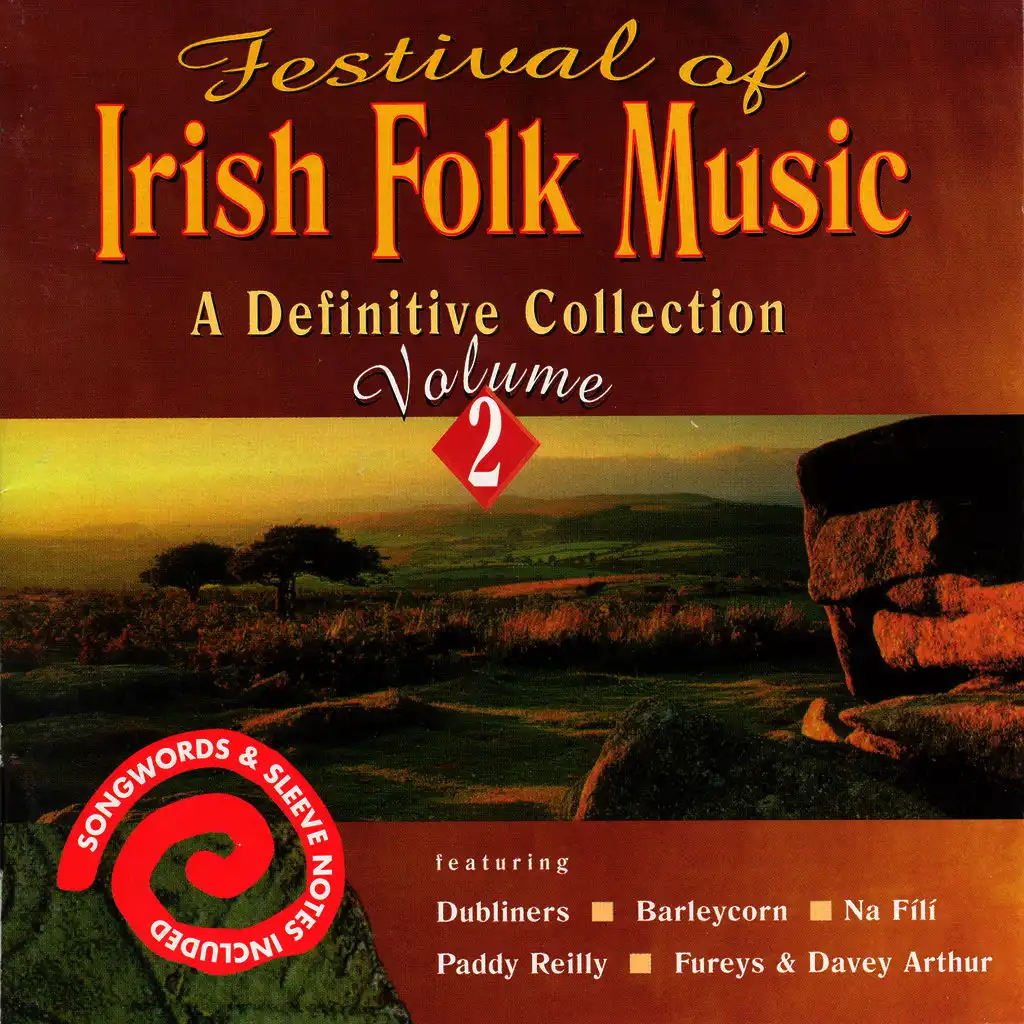 Festival Of Irish Folk Music - Volume 2