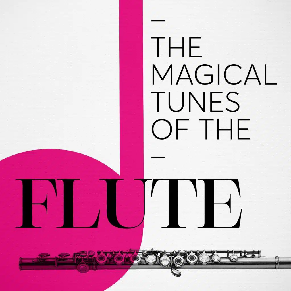 Flute Concerto in D Major: I. Andante