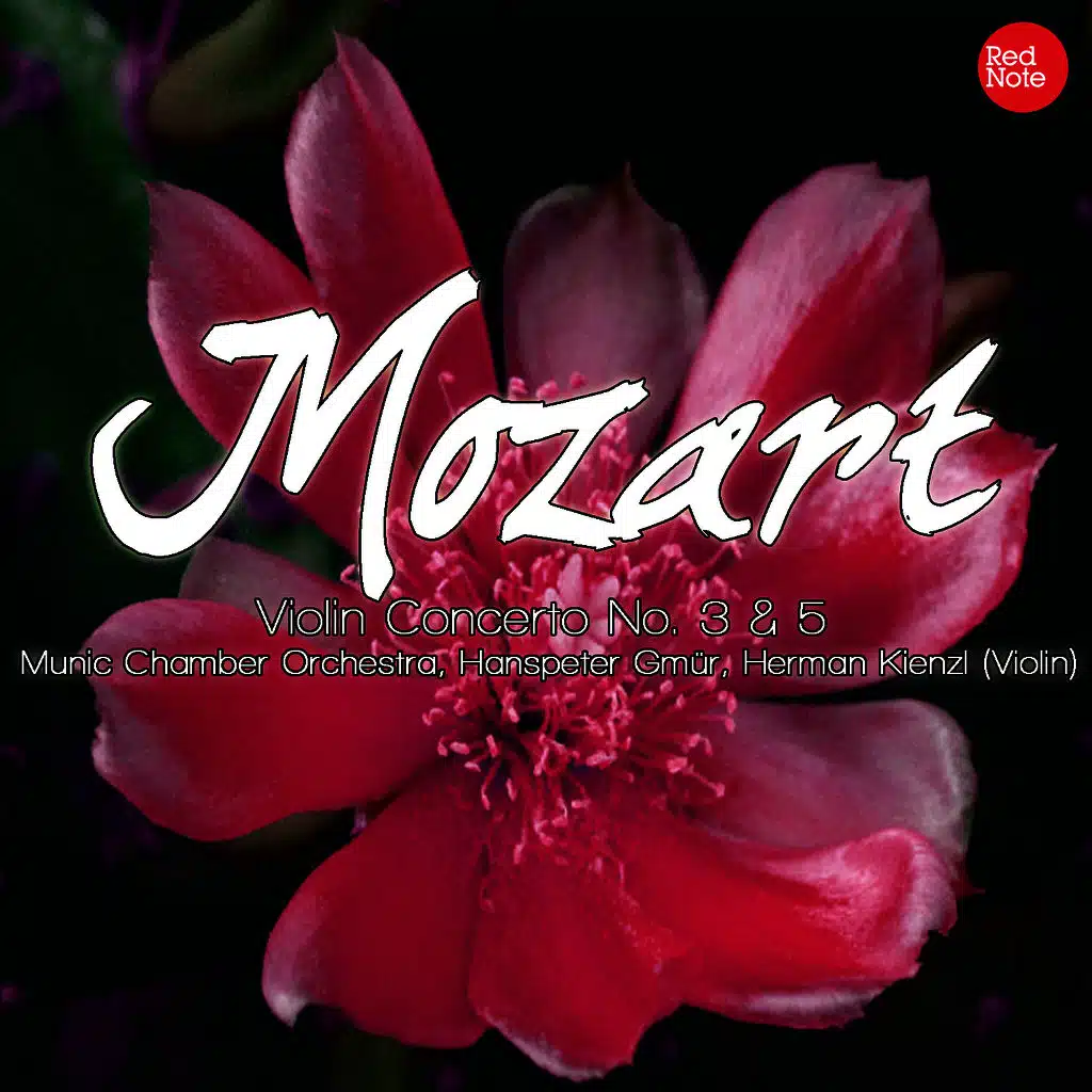 Violin Concerto No. 3 in G major, K. 216: II. Adagio