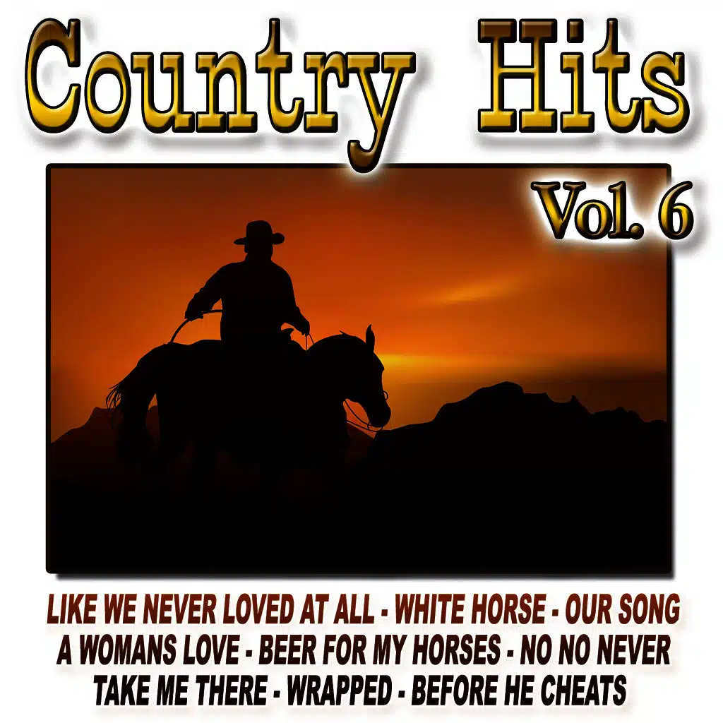 Country Hits Vol.6