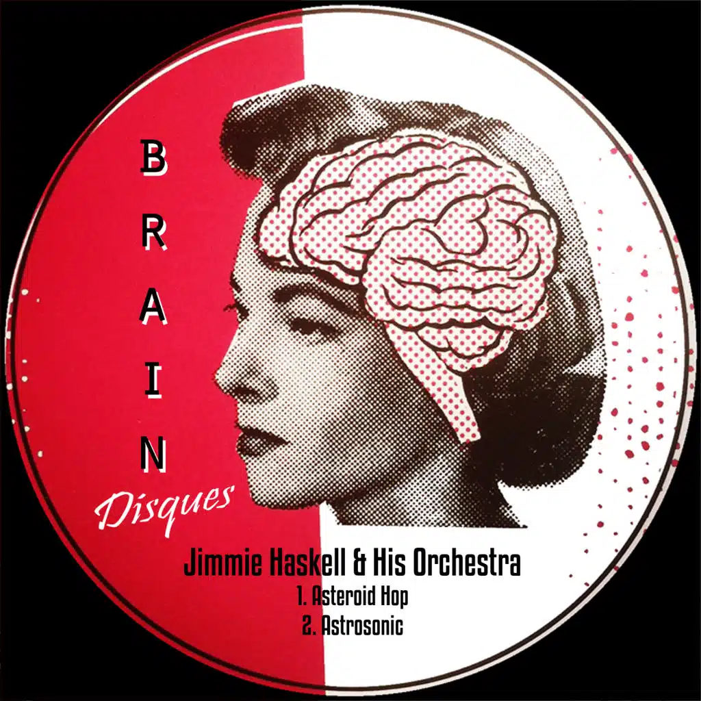 Jimmie Haskell & His Orchestra