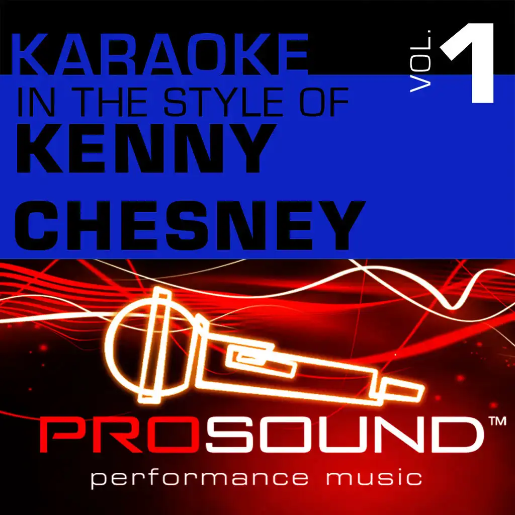 Karaoke - In the Style of Kenny Chesney, Vol. 1 (Professional Performance Tracks)