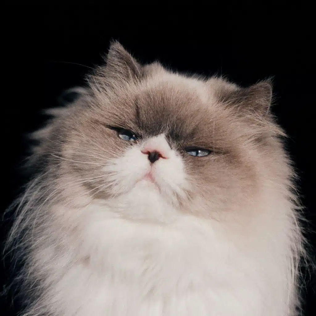 Bokura Hanataba Mitai Ni Yorisotte