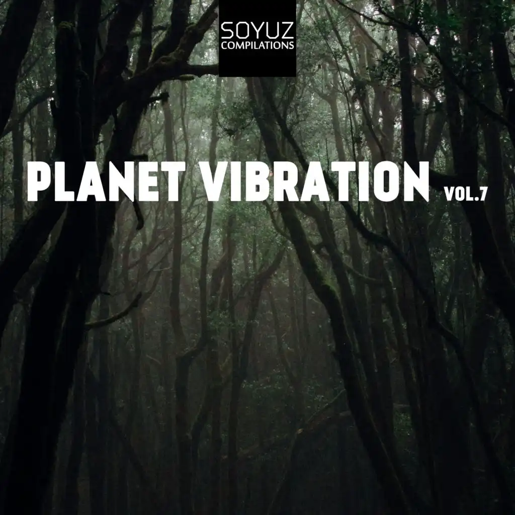 Planet Vibration, Vol. 7