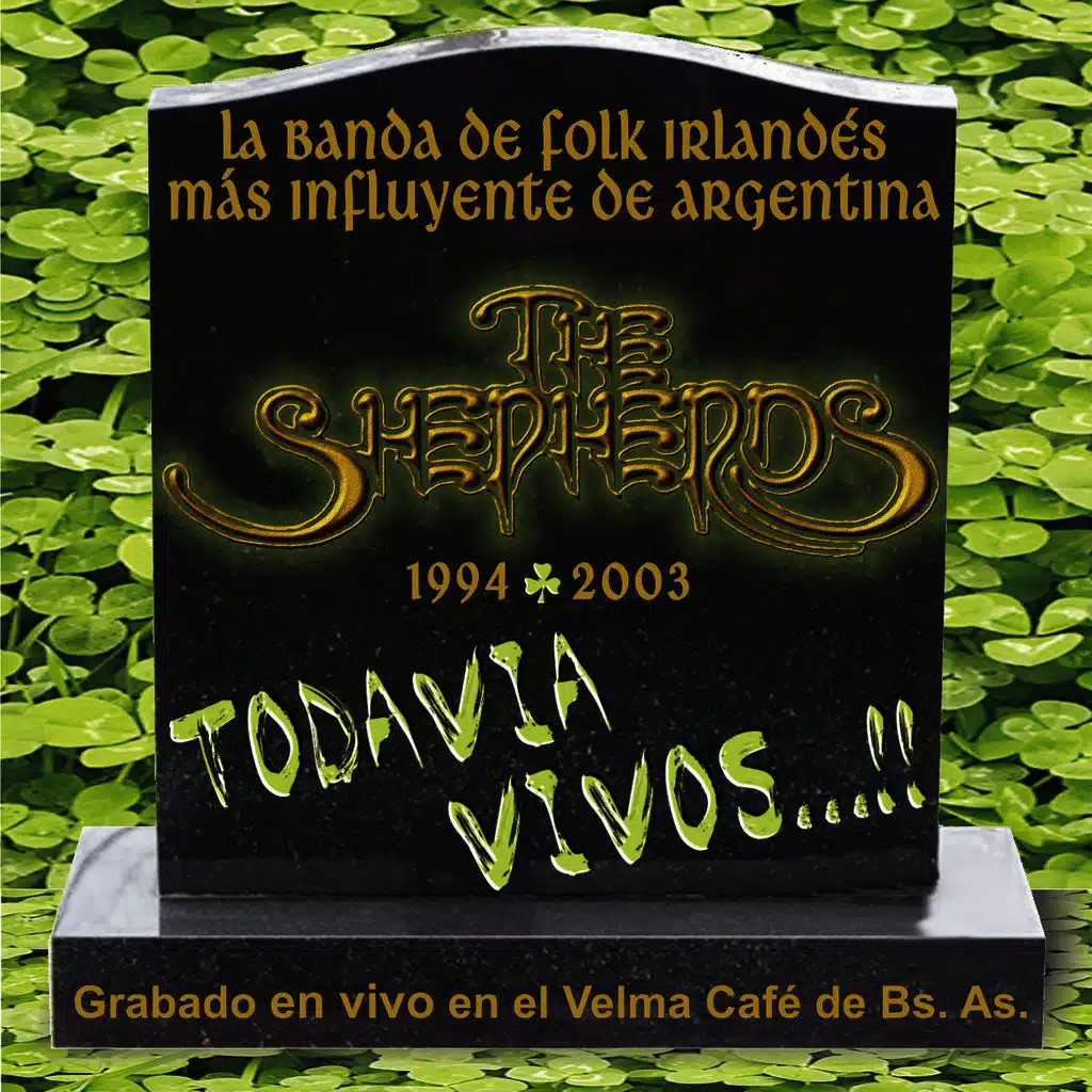 The Star Of The County Down