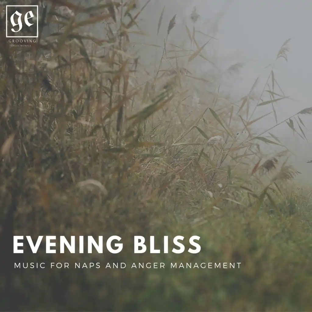 Evening Bliss: Music for Naps and Anger Management