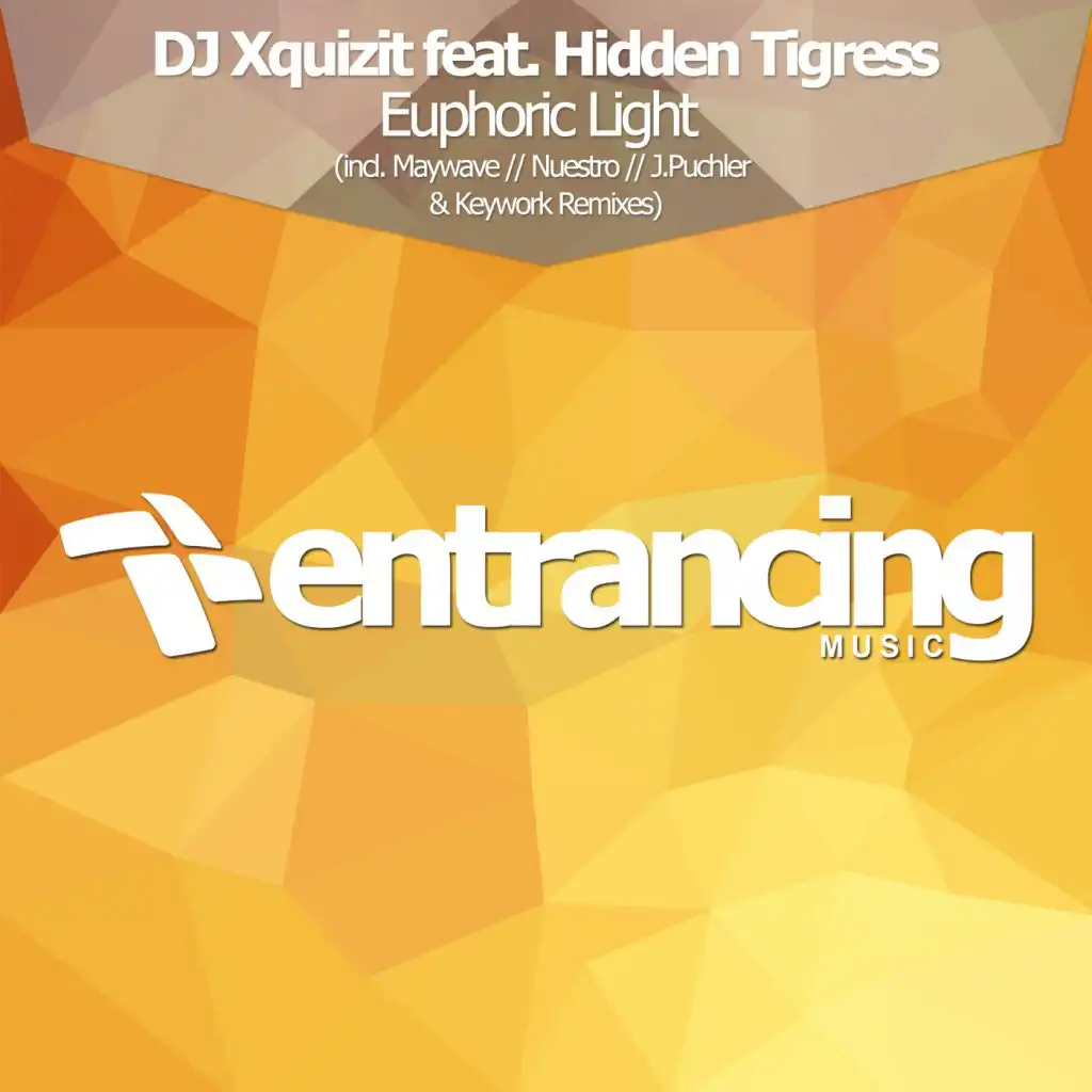 Euphoric Light (Maywave Remix) [feat. Hidden Tigress]