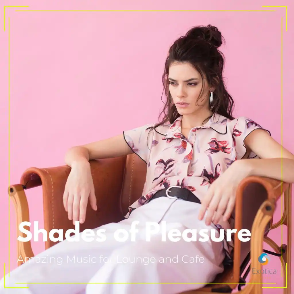 Shades of Pleasure: Amazing Music for Lounge and Cafe