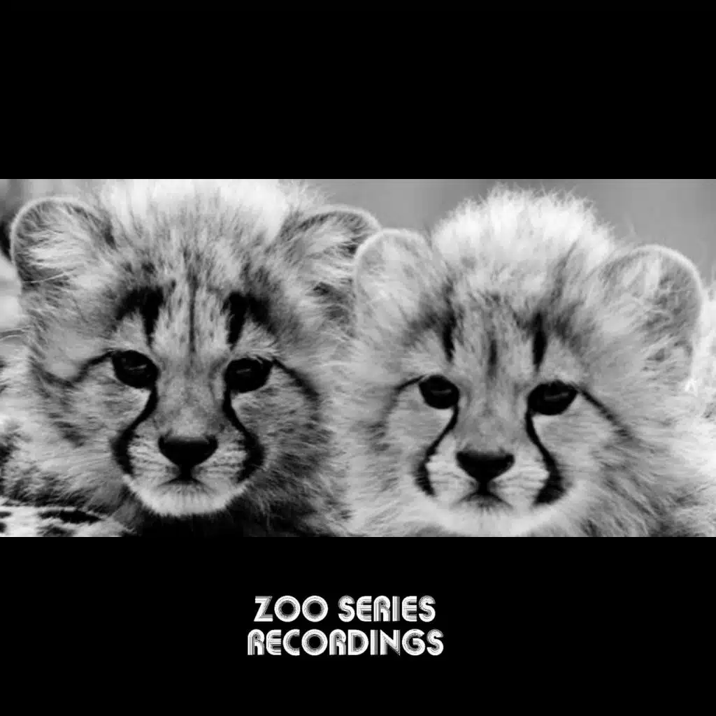 Elephants On Paradise