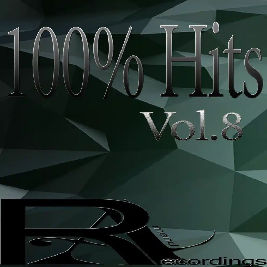 100% Hits, Vol. 8
