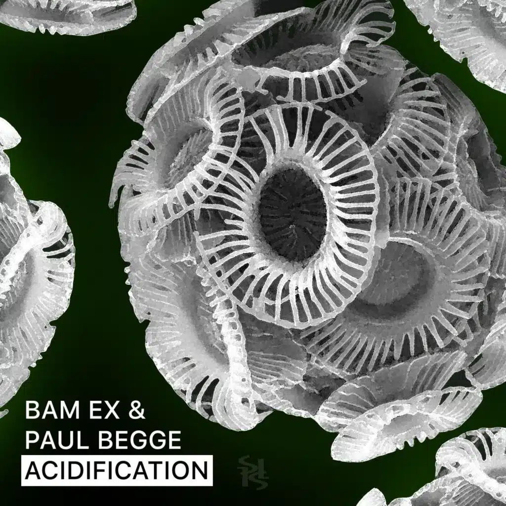 Acidification