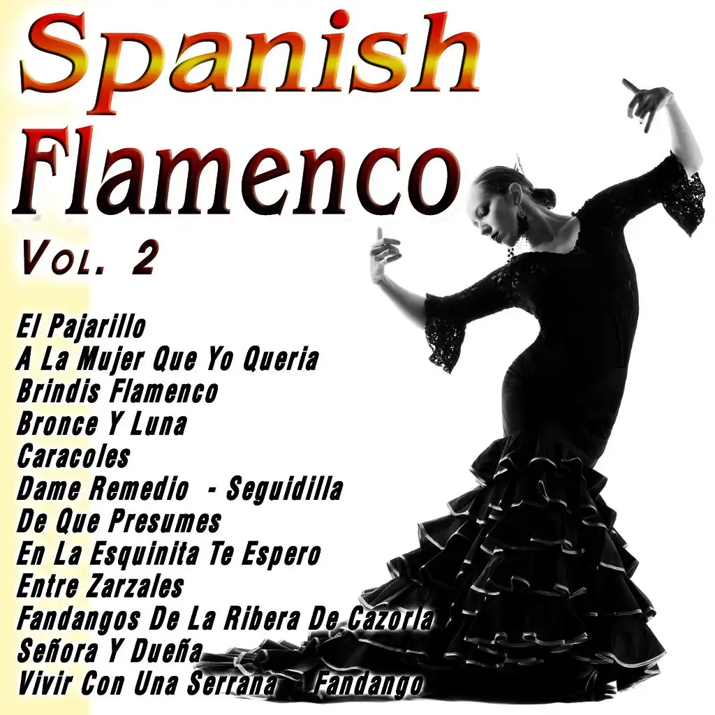 Spanish Flamenco  Vol. 2