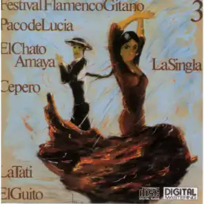 Festival Flamenco Gitano (3)