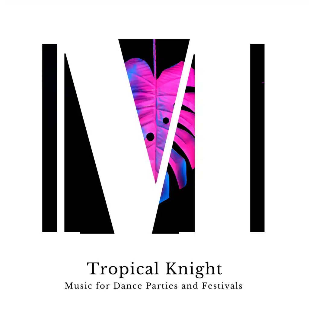 Feeling High (Modern Tropical House)