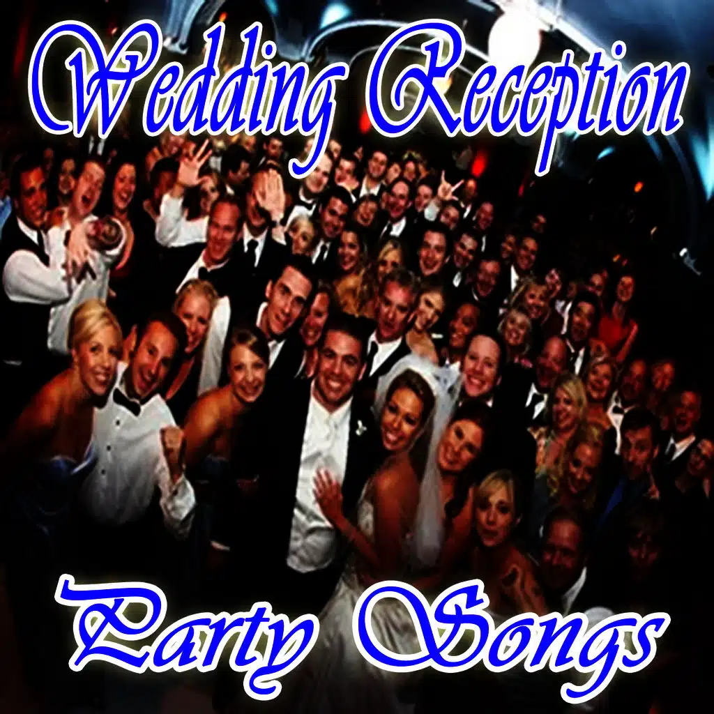 Wedding Reception Party Songs (Salutes)
