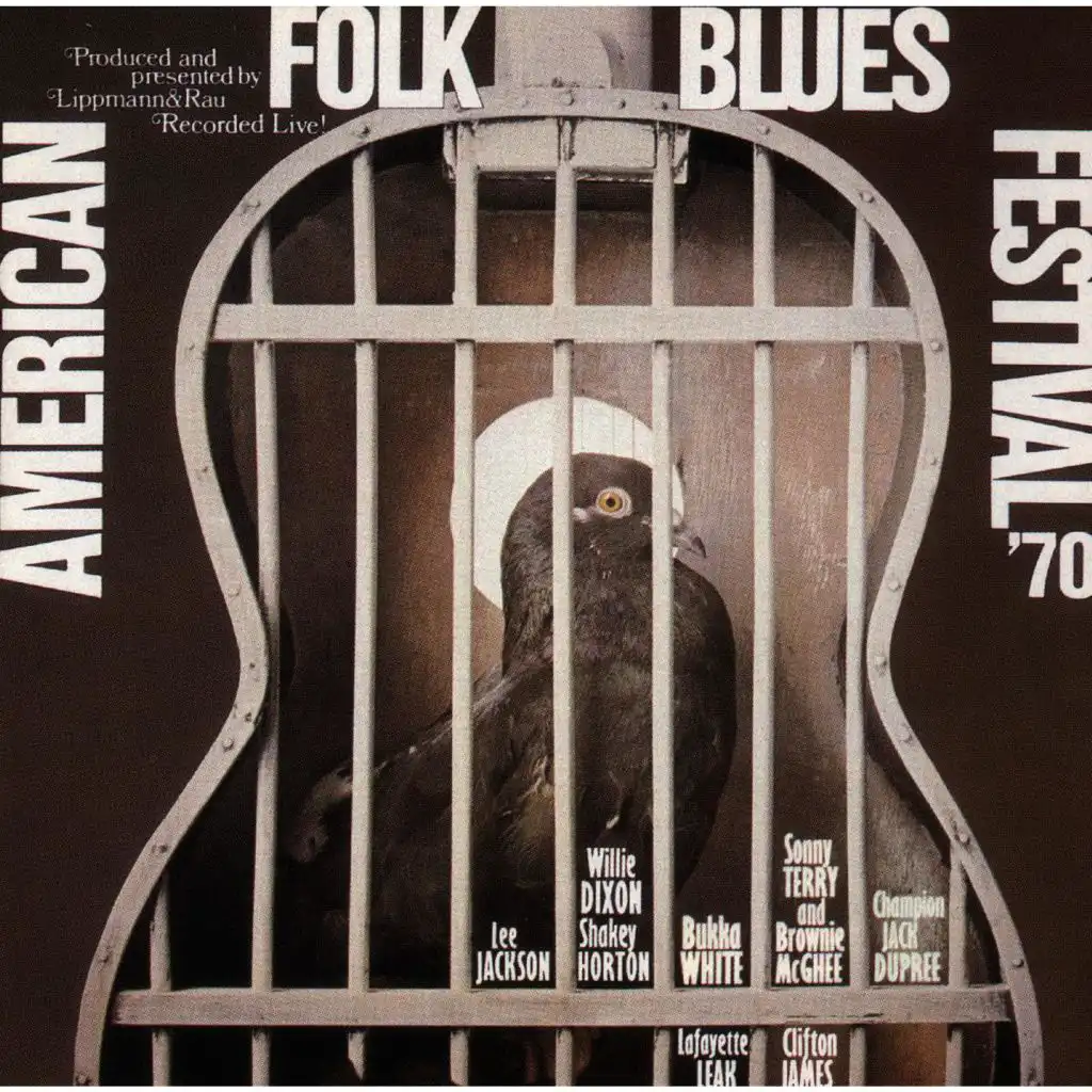 American Folk Blues Festival (70)