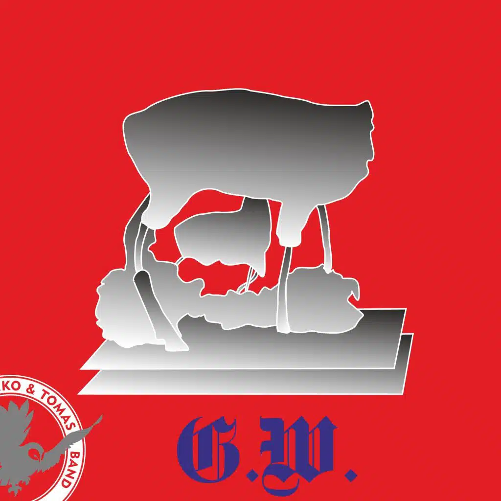 Саша Самойленко, TOMAS band