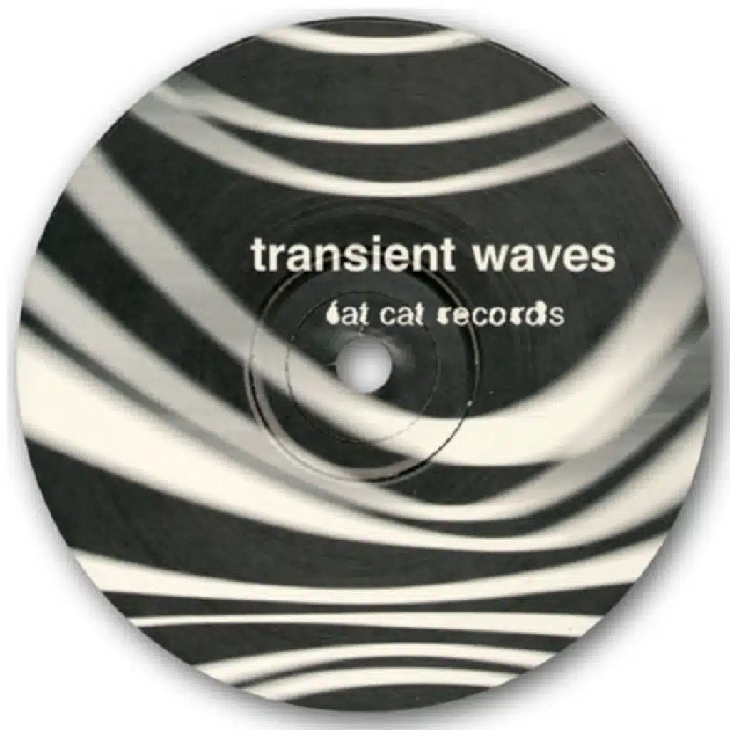 Transient Waves