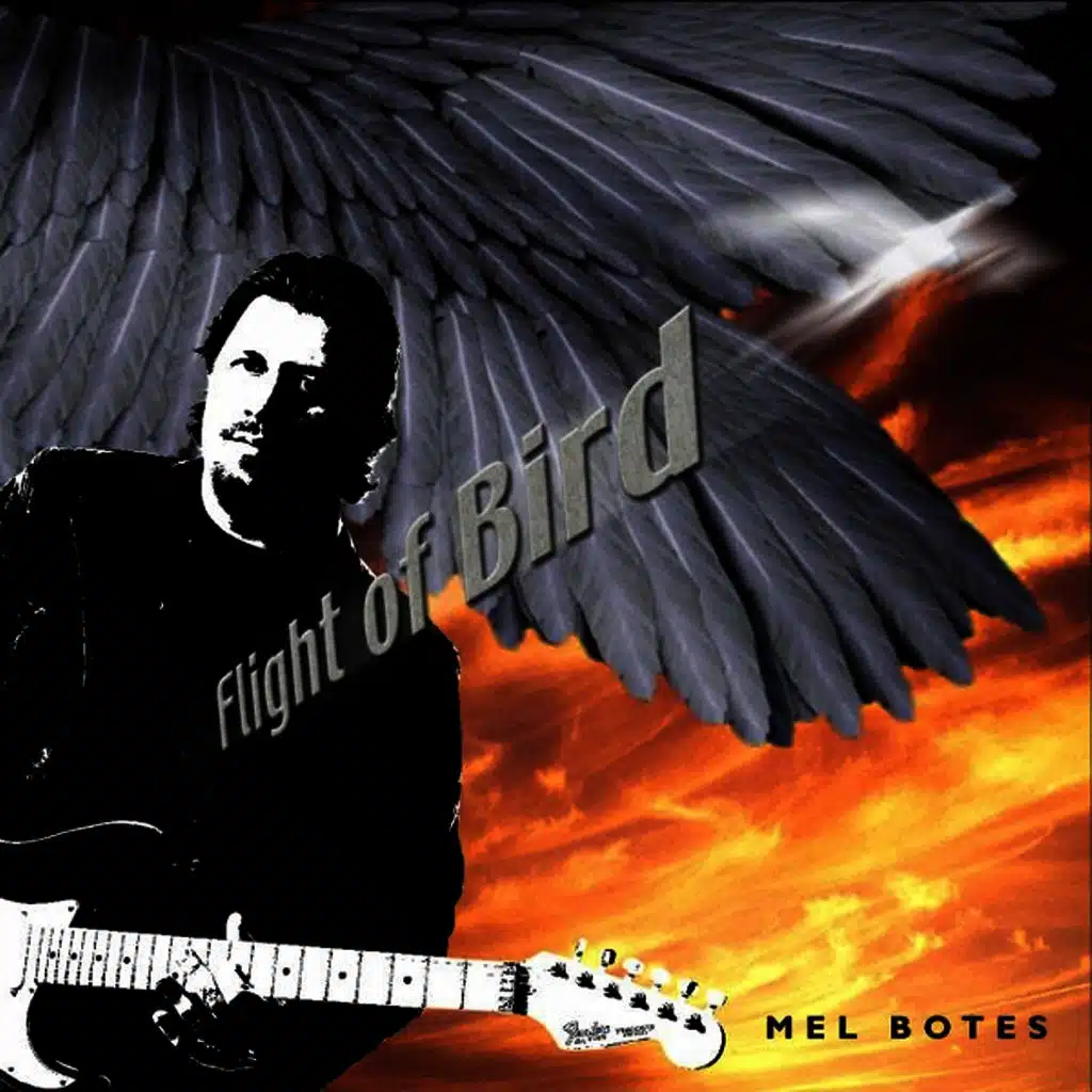 Flight of Bird