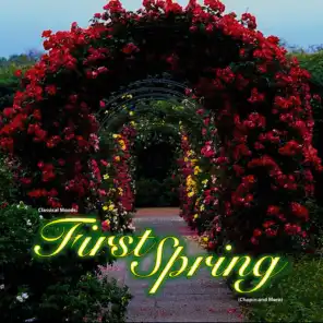 Classical Moods: First Spring (Chopin and More)