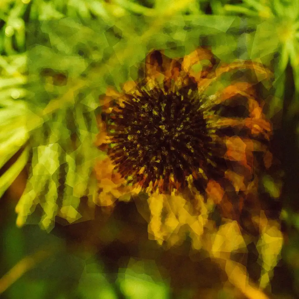 Portrait of Daisies