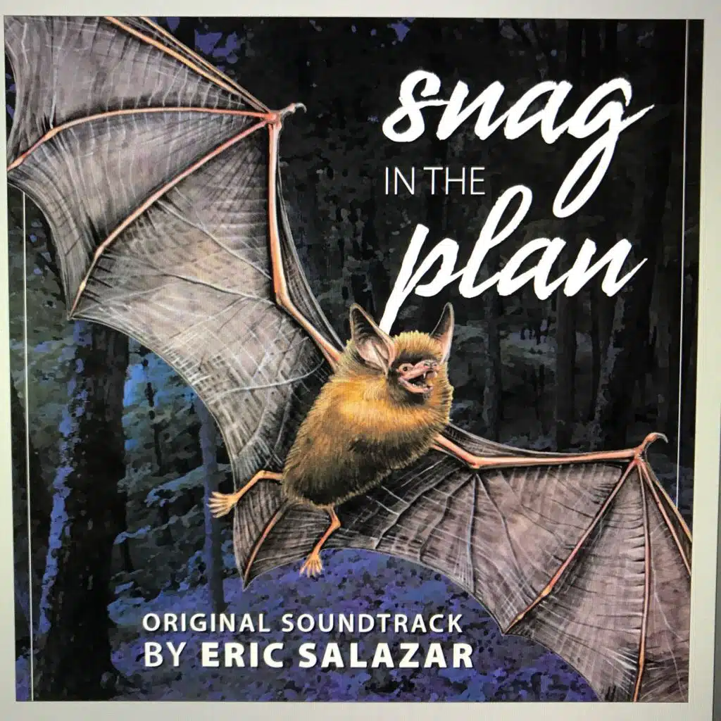 Snag in the Plan Original Soundtrack