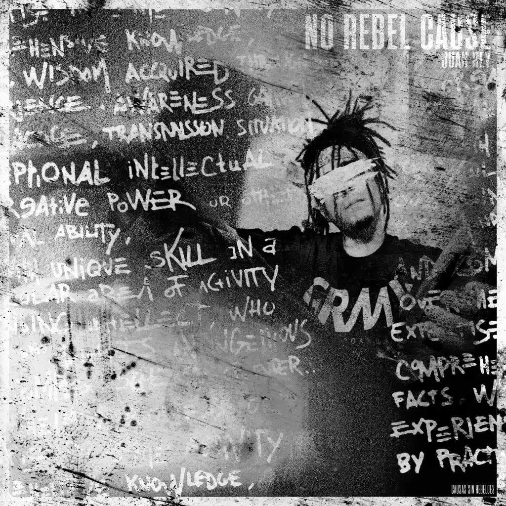 No Rebel Cause