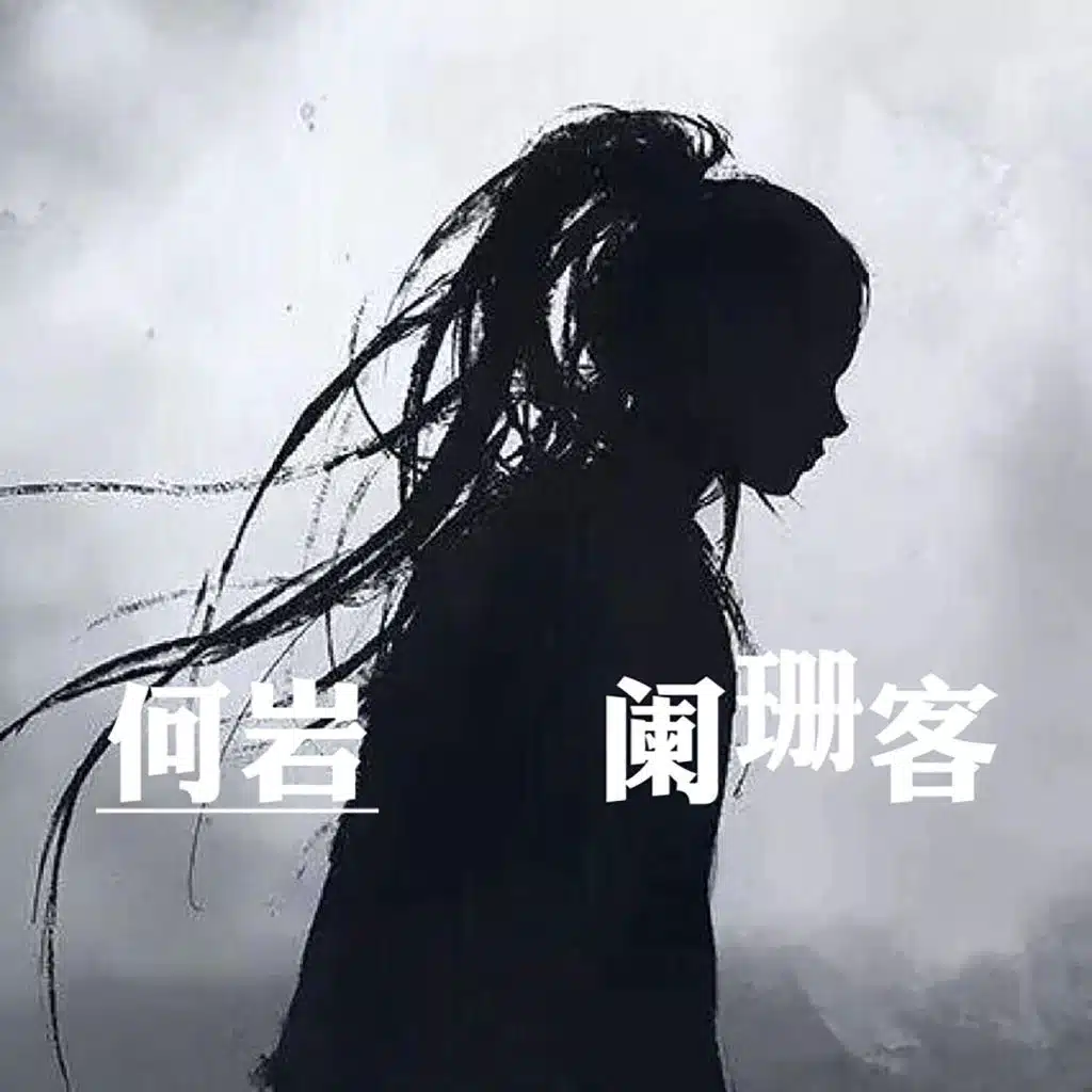 阑珊客