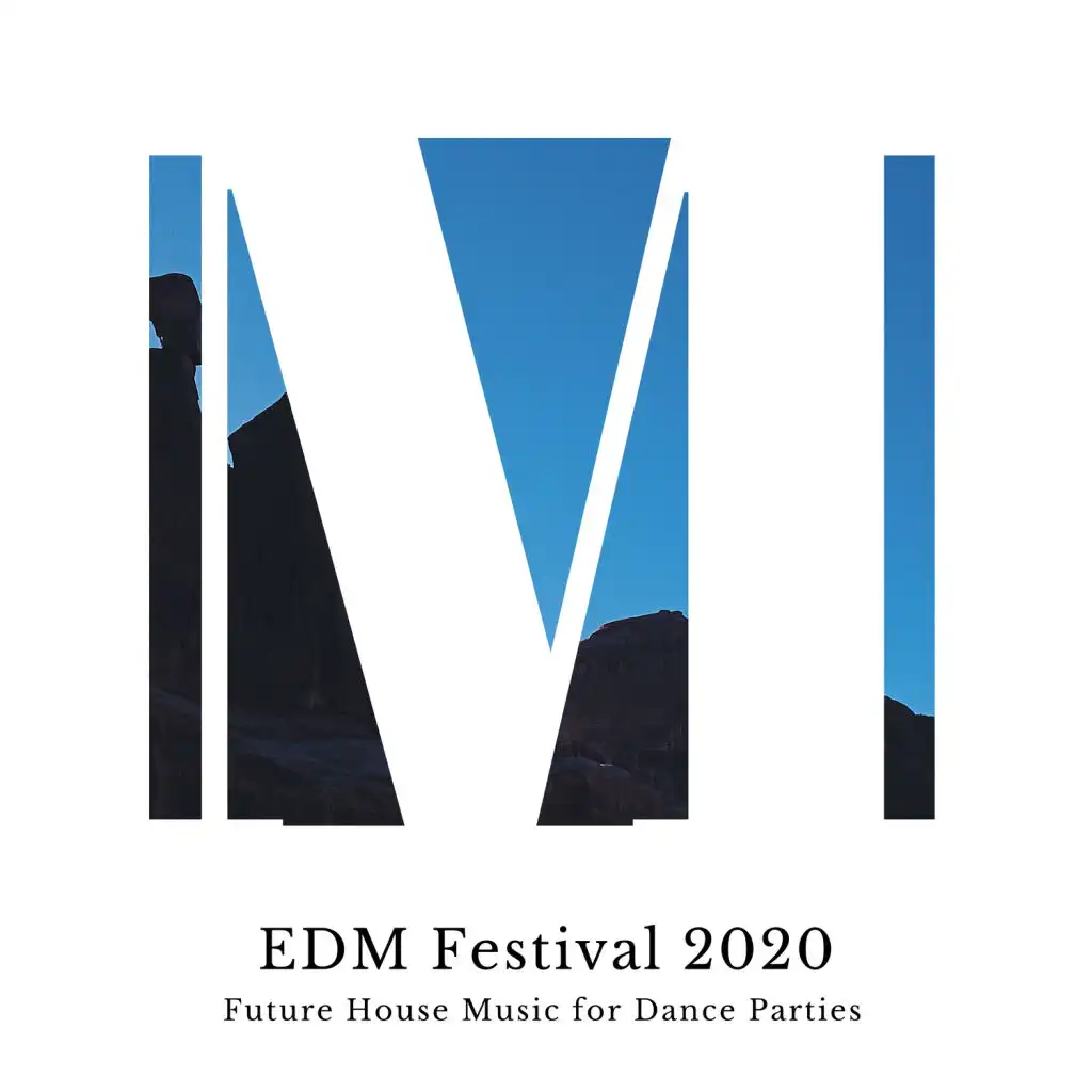 EDM Festival 2020 - Future House Music For Dance Parties