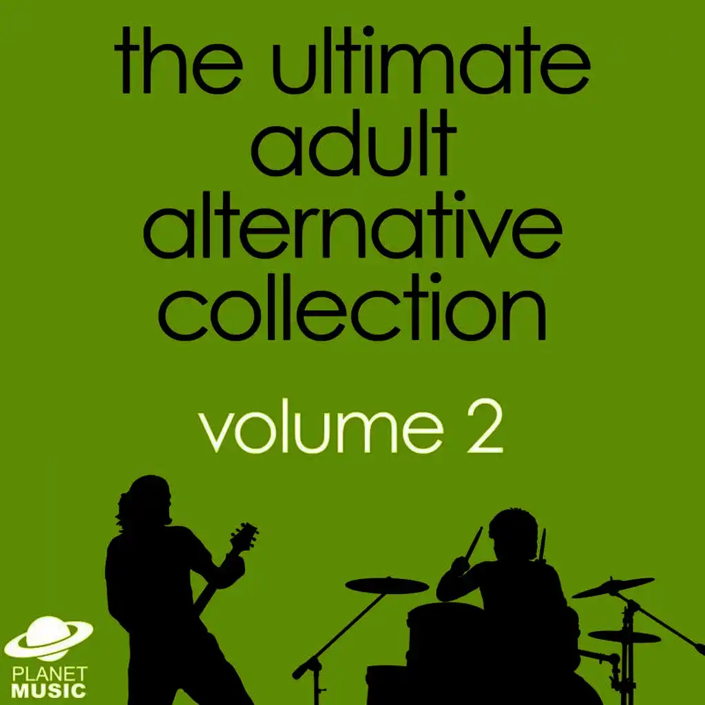 The Ultimate Adult Alternative Collection Volume 2