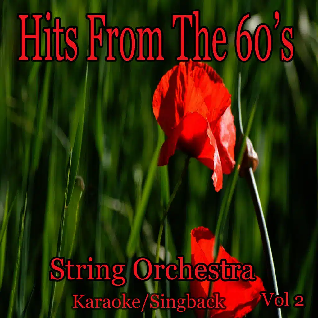 Hits from the 60's/Karaoke/Singback Vol. 2