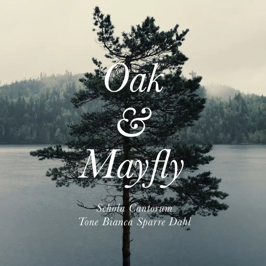 Bjørn Morten Christophersen: Oak & Mayfly (single edition)