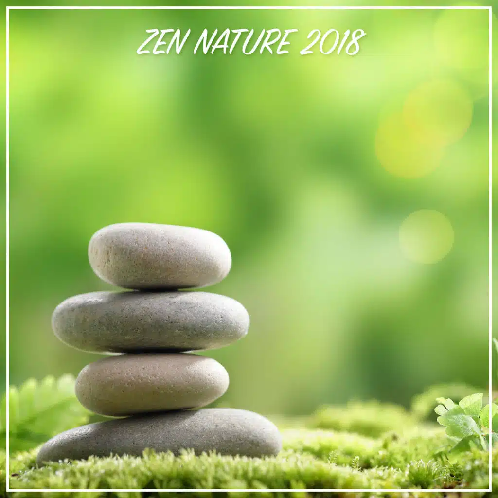 Zen Nature 2018