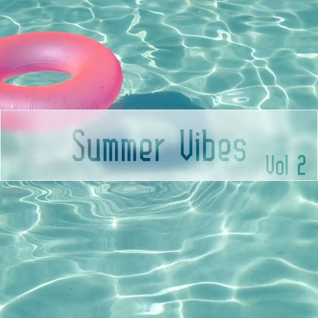Summer Vibes Vol, 2