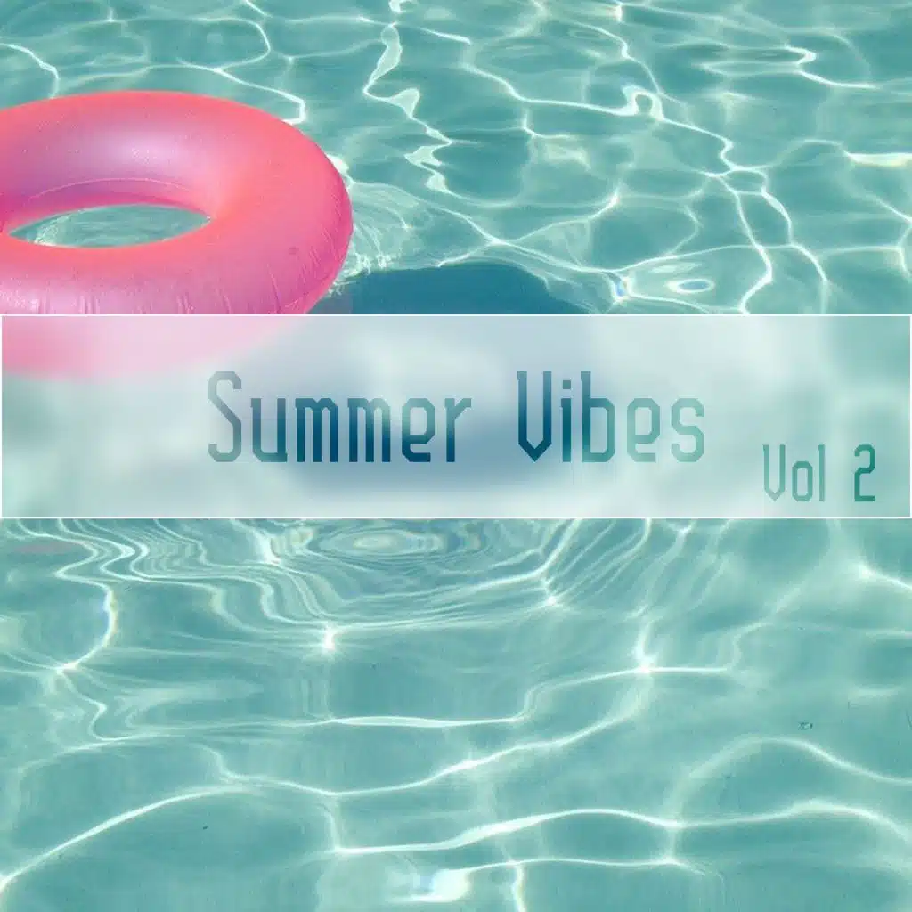 Summer Vibes Vol, 2