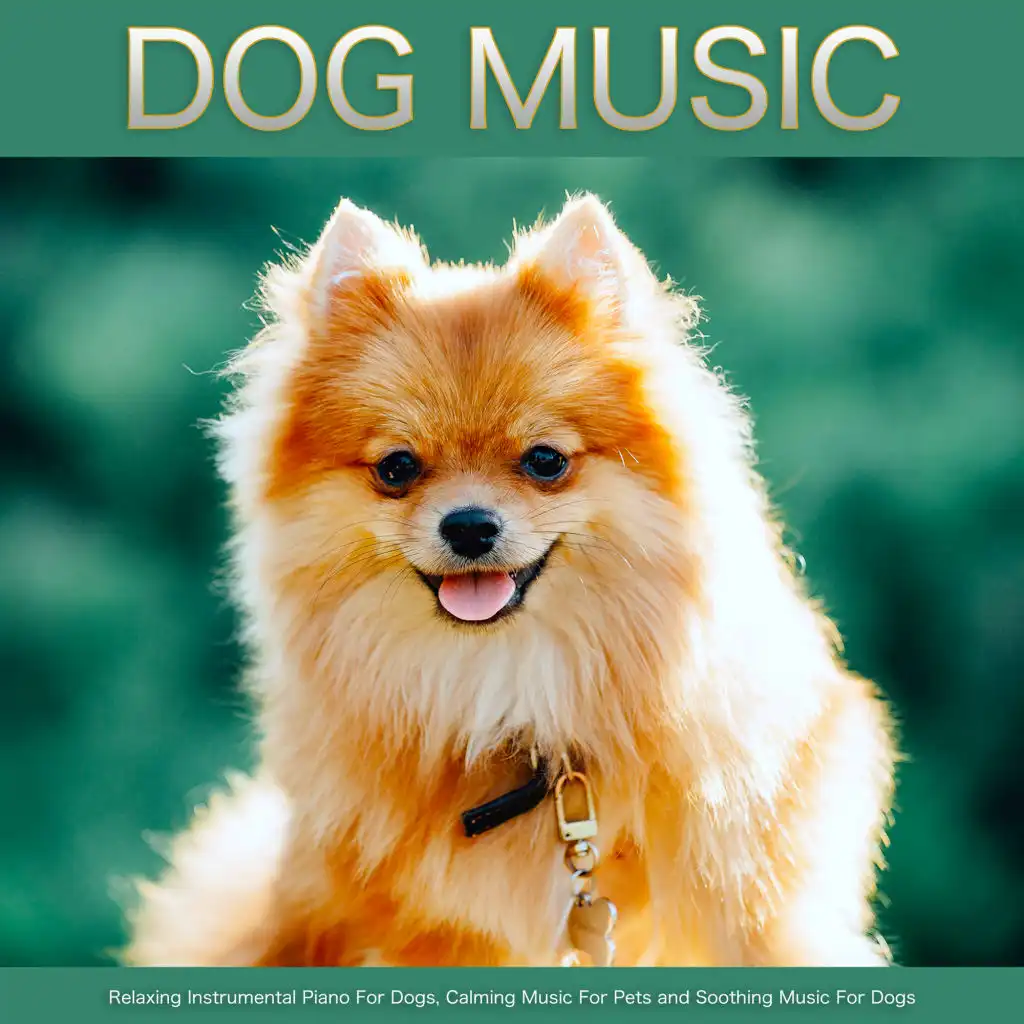 Dog Music, Calming Music For Pets, Sleeping Music For Dogs