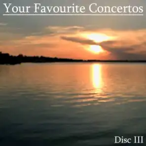 Violin Concerto No. 1 In G-Minor, Op. 26, First Movement: Allegro moderato