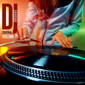 DJ Central Groove Vol, 13