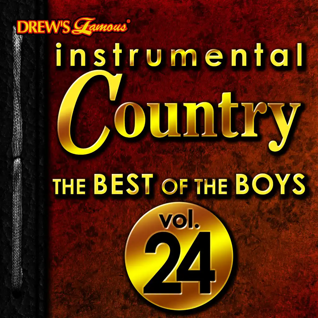 Instrumental Country: The Best of the Boys, Vol. 24