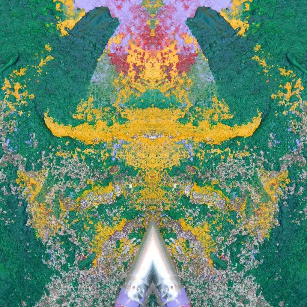 La Tierra Del Hongo