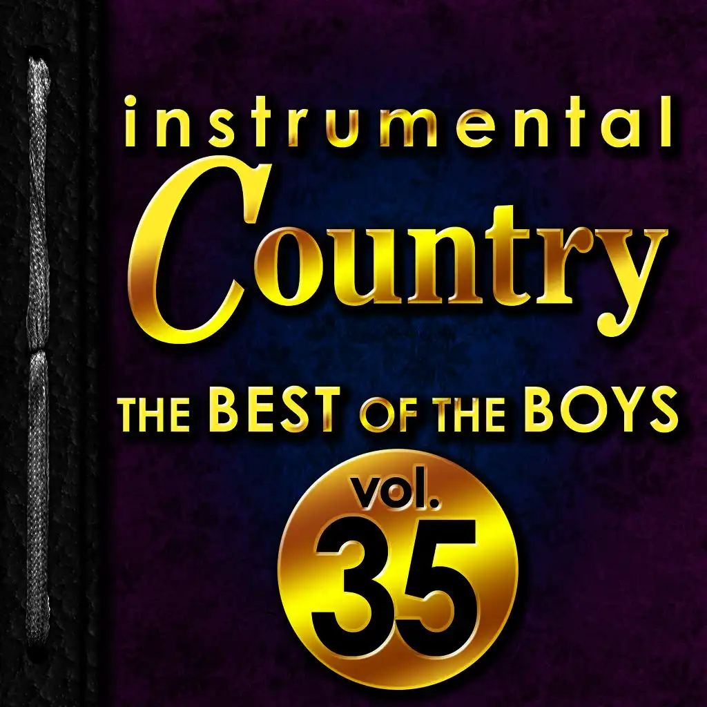 Instrumental Country: The Best of the Boys, Vol. 35
