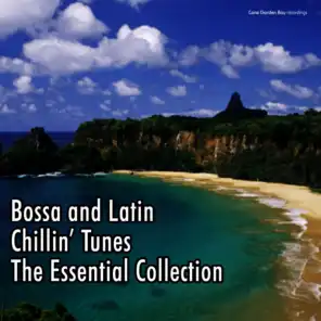 Bossa and Latin Chillin' Tunes - The Essential Collection
