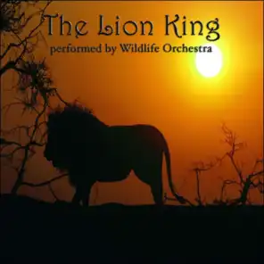 The Lion King Performed By Wildlife Orchestra