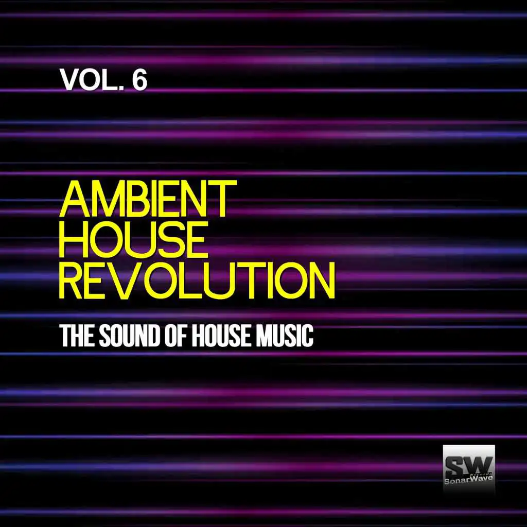 Ambient House Revolution, Vol. 6 (The Sound Of House Music)