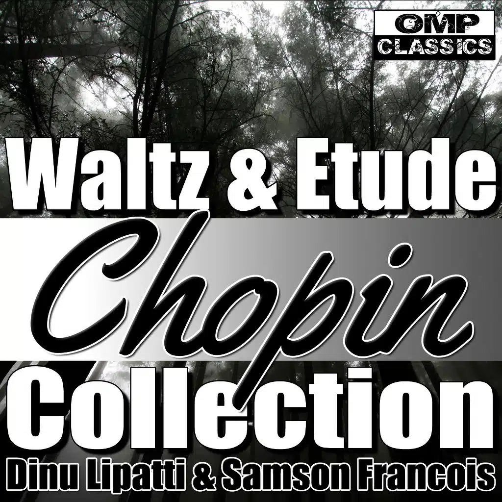 12 Etudes, Op. 25: No. 5 in E Minor