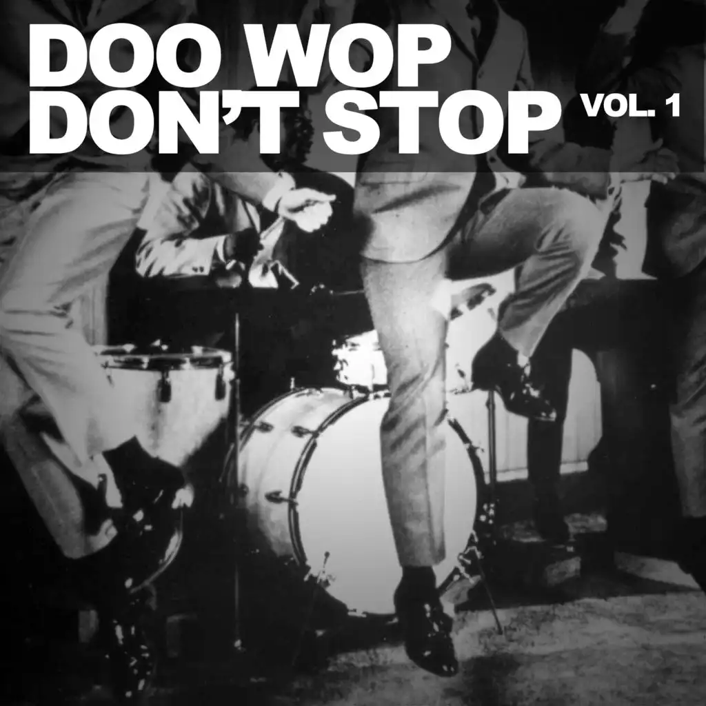 Doo Wop Don't Stop!, Vol. 1