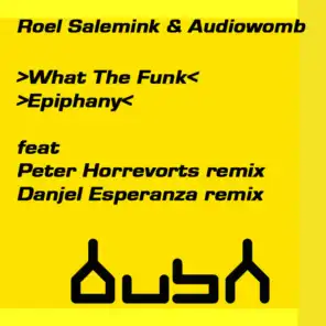 What the Funk (Peter Horrevorts Remix)