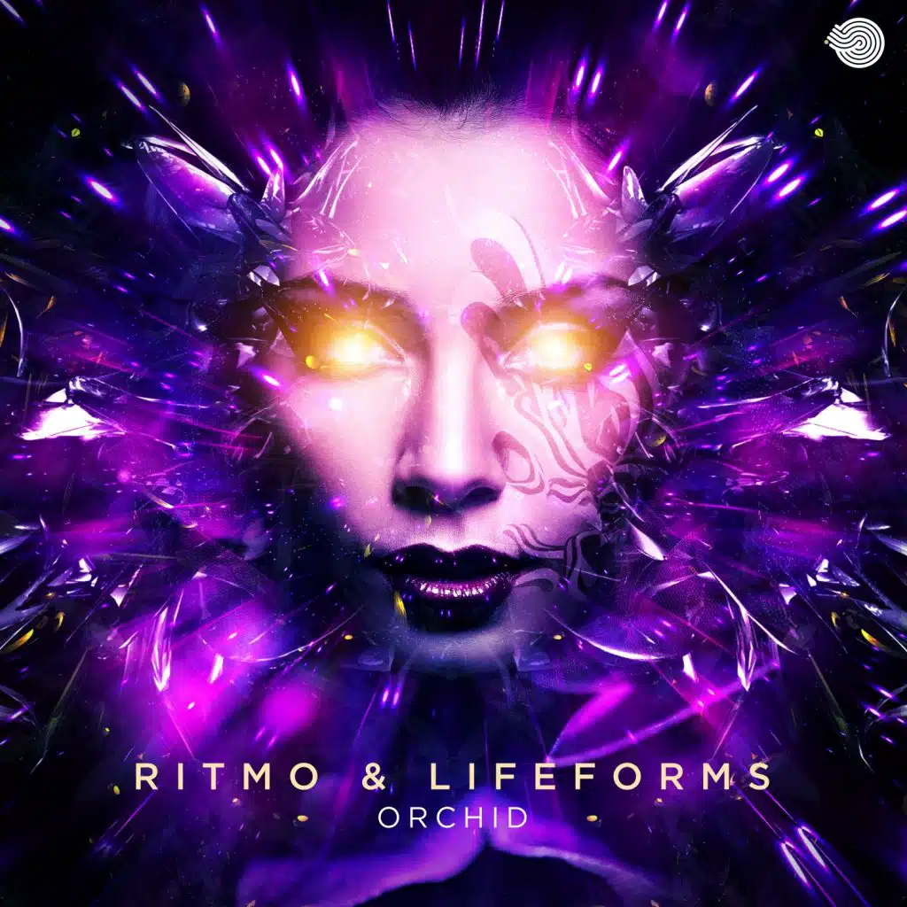 Ritmo & Lifeforms