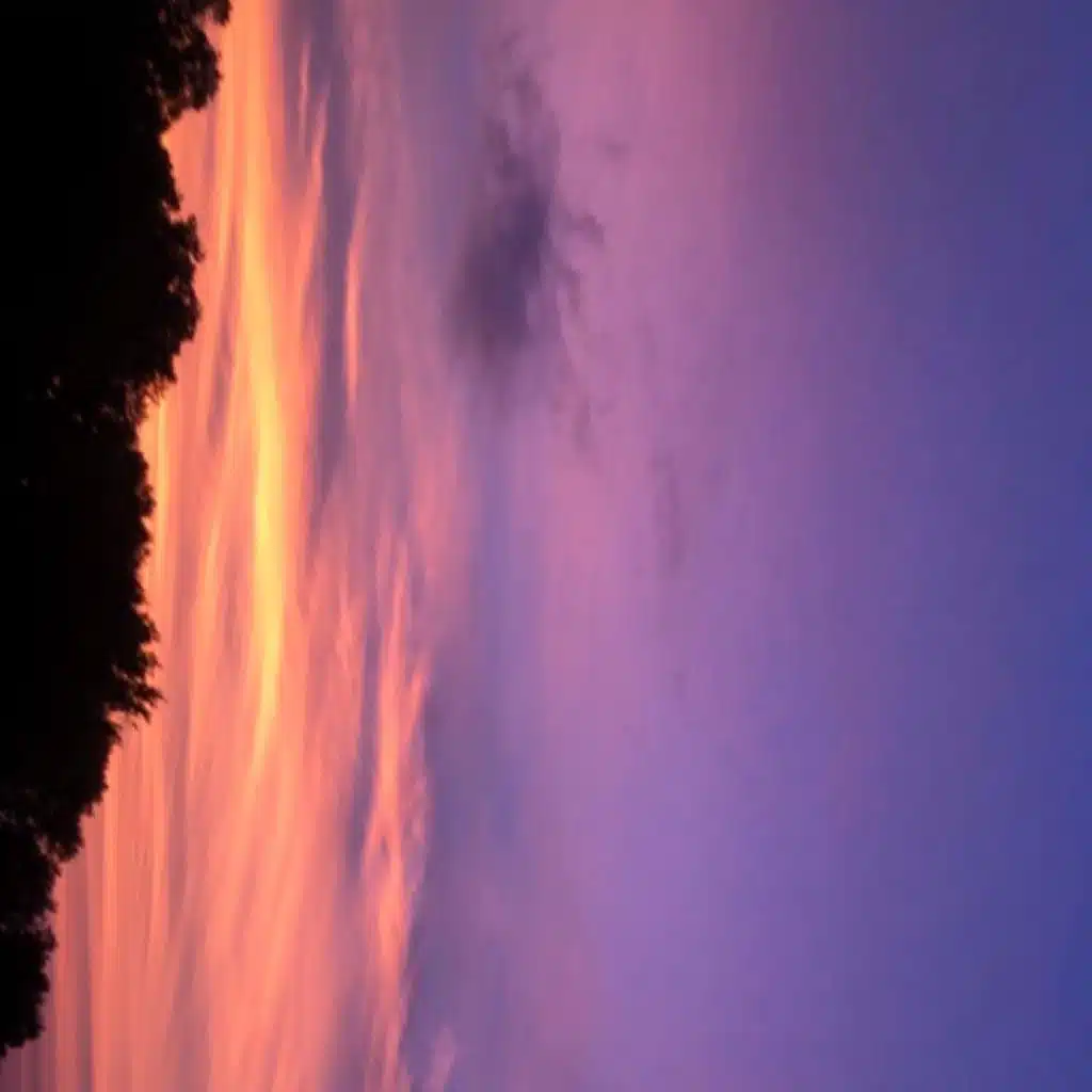 Unpurified (Acoustic)