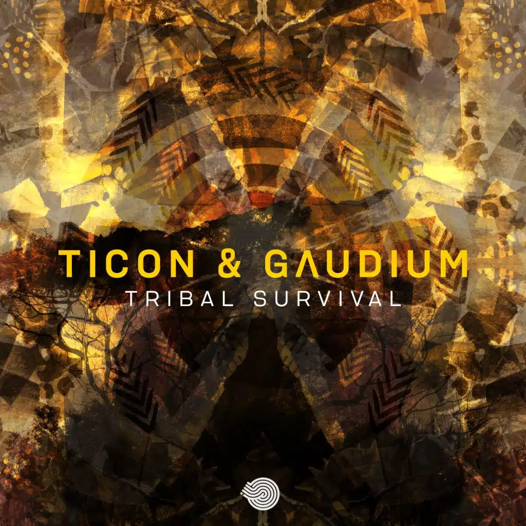 Ticon & Gaudium